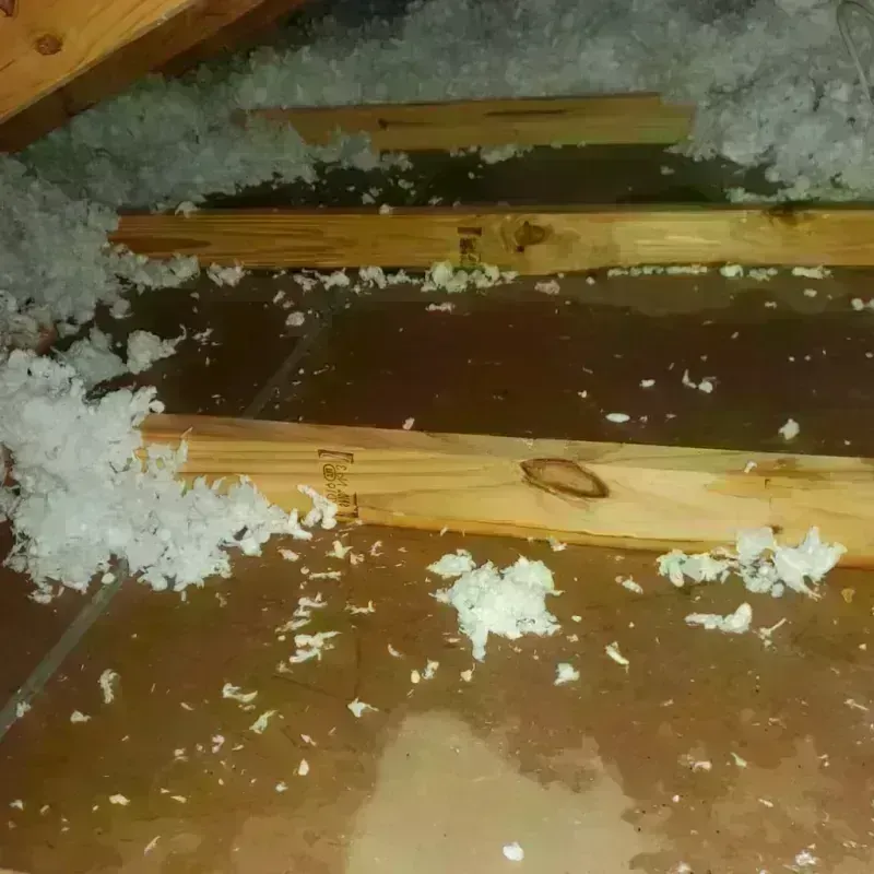 Attic Water Damage in McMinn County, TN